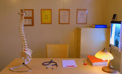 Skuteczna Rehabilitacja - bo liczą się efekty. Trzeciak